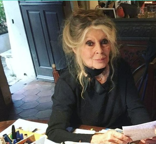 Syn Brigitte Bardot ma 65 lata: Był bardzo młody, kiedy go opuściła