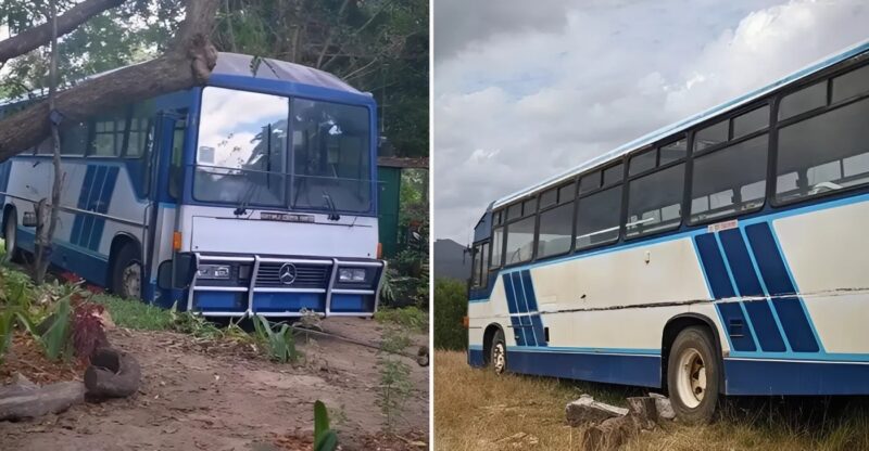 Młoda kobieta przekształca stary autobus w magiczny, mały dom, prawdziwe „leśne schronienie”, w przystępnej cenie