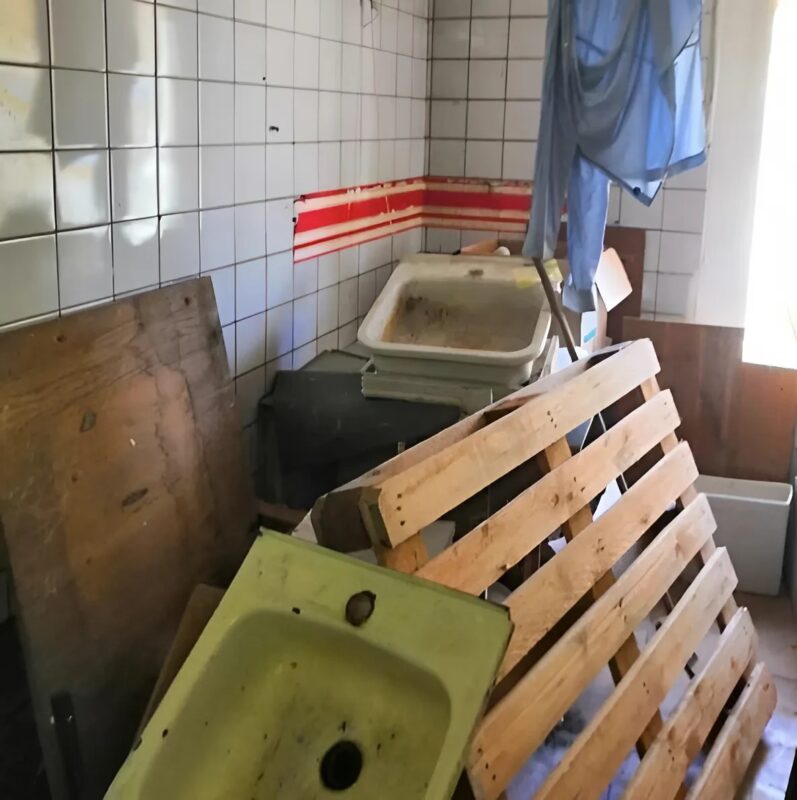 Aby zarobić, przyjaciele kupili pokój w piwnicy i całkowicie go przekształcili