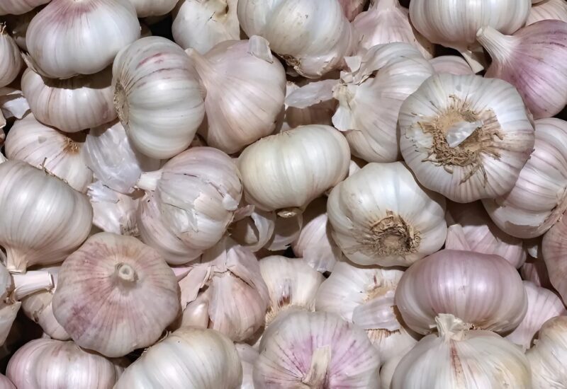 Ugotuj pięć ząbków czosnku i odkryj naturalny sposób na częsty problem w ogrodzie