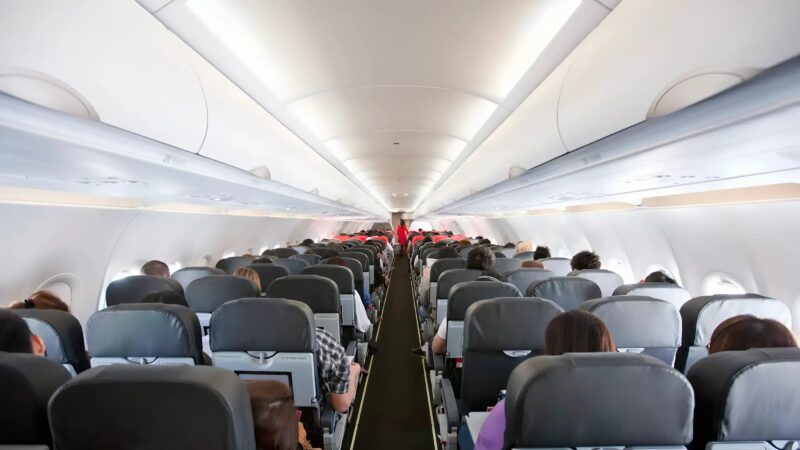 Boeing 787 uderza w ptaka i powoduje eksplozję silnika w powietrzu: tragedia cudem została uniknięta!